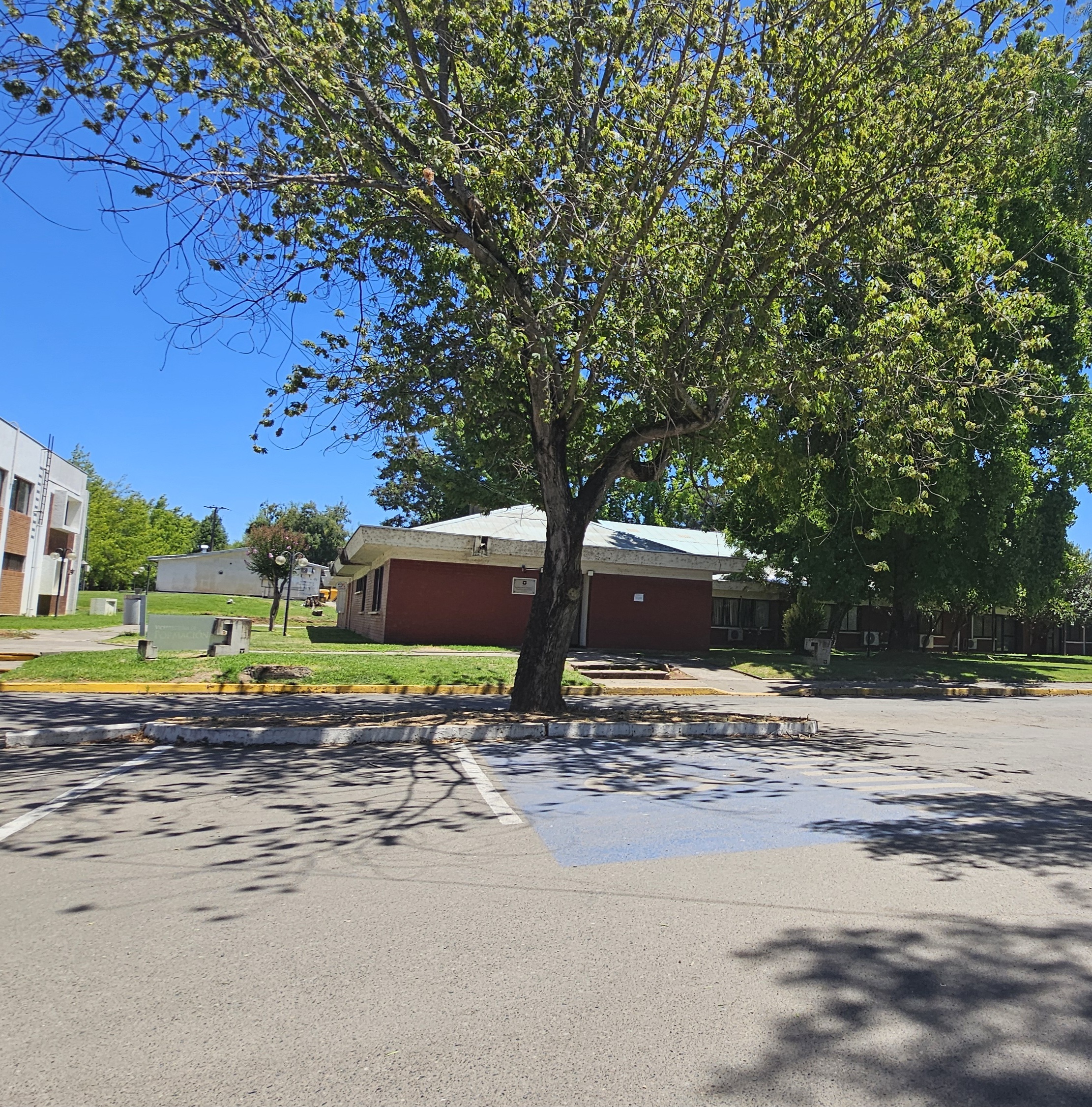 Fotografía de un estacionamiento para personas con discapacidad, se encuentra bajo un arbol